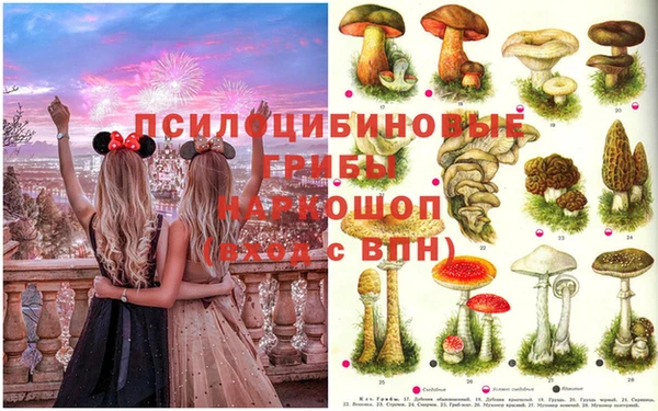 apvp Балахна
