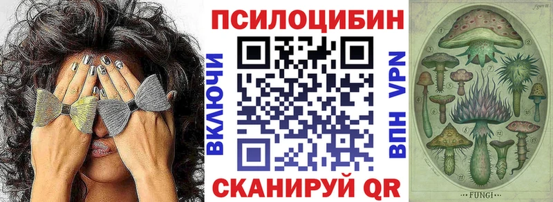 дарк нет официальный сайт  Новый Уренгой  Галлюциногенные грибы Psilocybe 